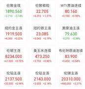 此行是不是看中了日本电动车市场